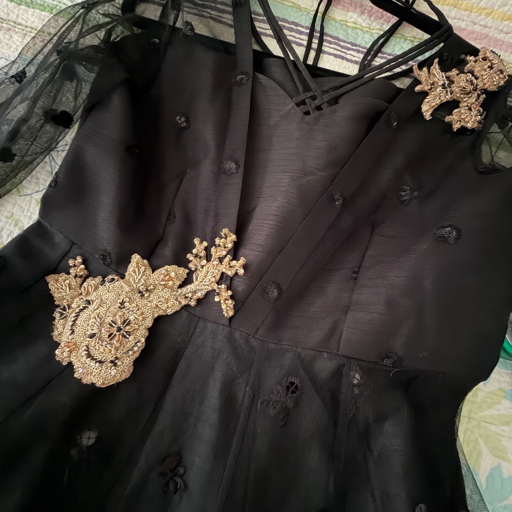 Pakistani Designer Black Dress Gown with Gold Accents - Picture 4 of 16